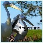 April 2004 - Argentina
