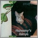 Harmonys Pet
