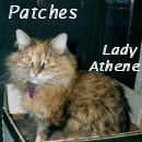 Lady Athenes Pets (2)